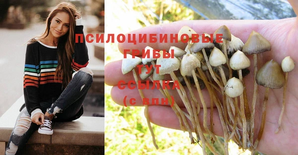 не бодяженный Медногорск