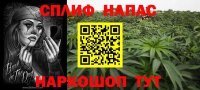 СК Донской