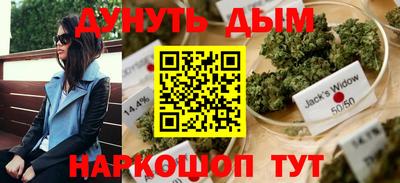 Альфа ПВП Дубна