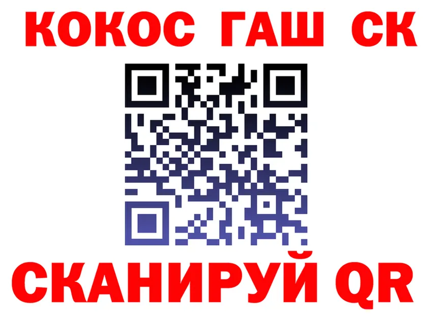 ГАШ Premium маркетплейс маркетплейс OMG Мурино