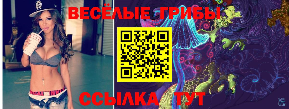 Галлюциногенные грибы прущие грибы  Мурино  Псилоцибиновые грибы мицелий 